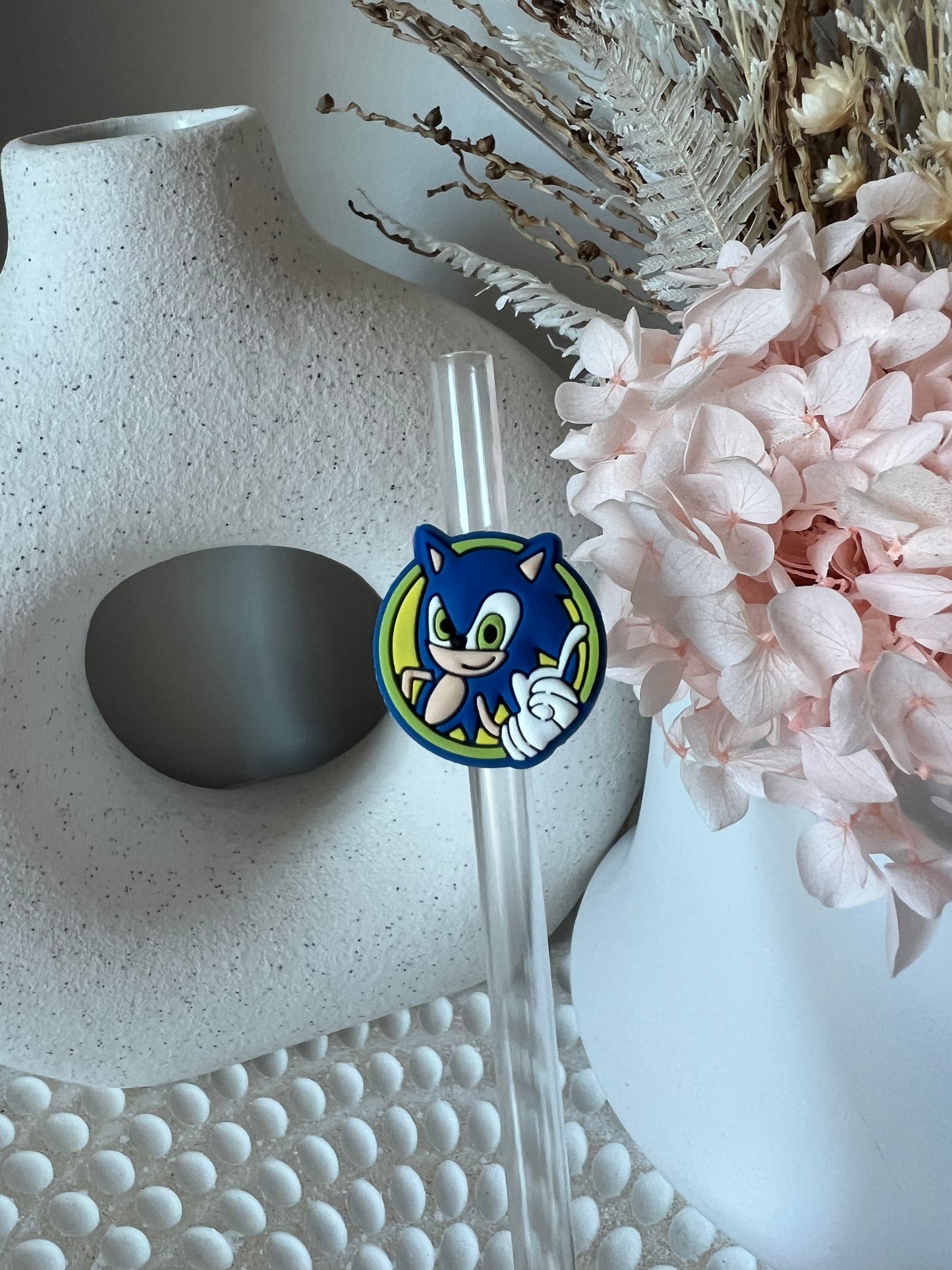 Sonic straw charm